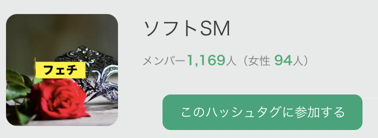 ソフトSM